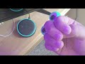Omblar And Cuckoo Play With Alexa