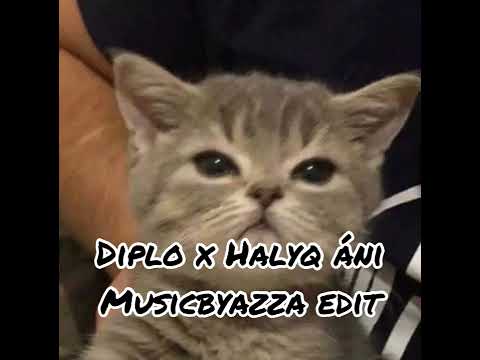 Diplo x Halyq ani (musicbyazza edit)