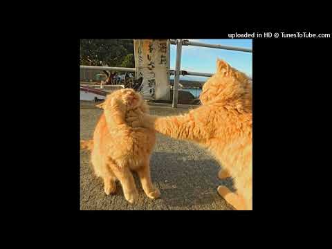 [FREE] Freestyle Beat - lalee (prod. maysway x souzi!)