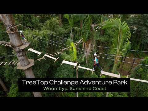 TreeTop Challenge - Sunshine Coast