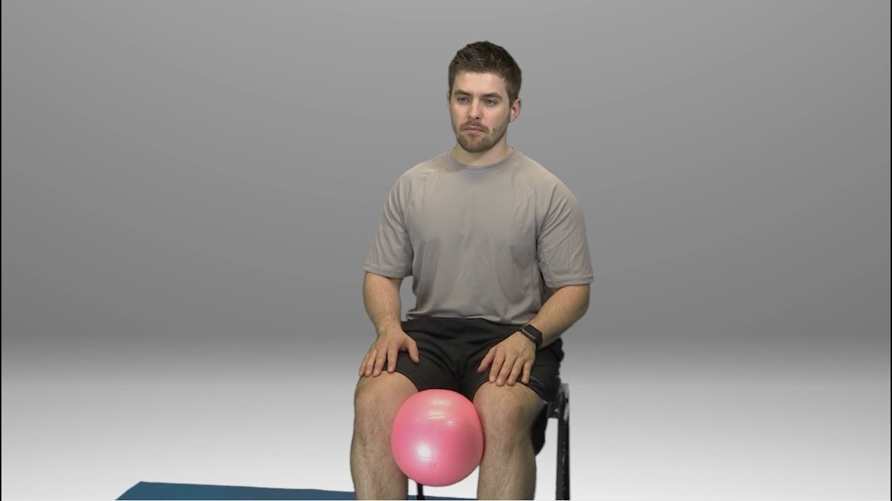 Seated Hip Adduction Isometrics with Ball - HomeCEU - YouTube