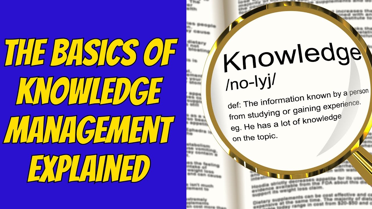 Knowledge Management 101: Foundations, Practices, and the Future of Organizational Learning