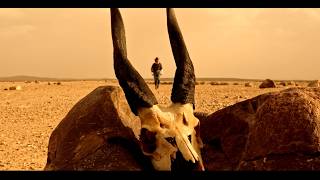 Dust to Dusk - A short Film