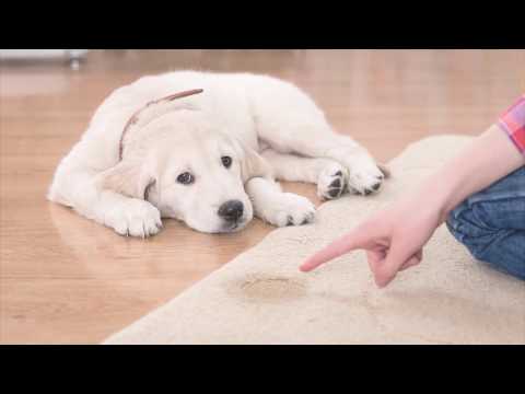 Geruchskontrolle.de - Vorstellung