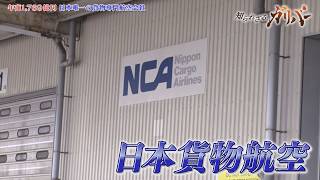 精密機械から競走馬まで海外へ！空の物流を支える日本唯一の国際貨物専門航空会社 日本貨物航空【知られざるガリバー】