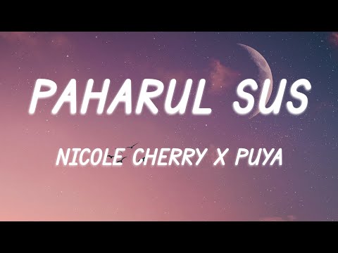 Nicole Cherry x Puya - Paharul sus (Versuri/Lyrics)