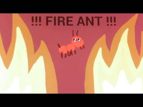 Fire Ants by Tim Hawkins