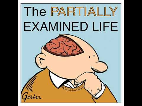 Partially Examined Life podcast - Gilligan on Feminist Theory & Moral Psychology