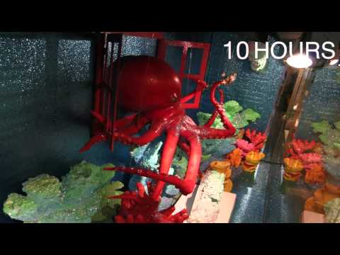 Harvey Nichols - Dubai Festive Windows