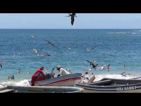 SY Mariela Panama to Galapagos (Oyster World Rally 2017-2019)