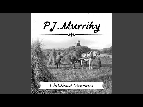 The Plains of Old Kildare