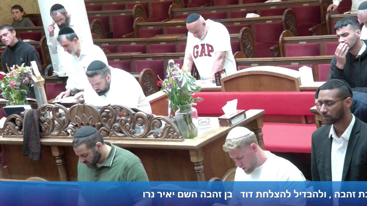 הרב אייל עמרמי - תפילת מנחה וערבית - ח' סיון תשפ"ו