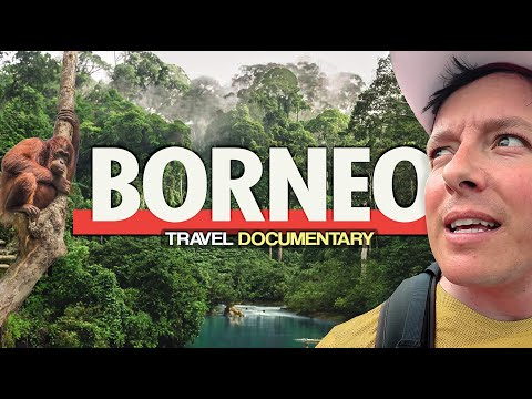 EXPLORING BORNEO 🇲🇾 2 Weeks in Sabah Malaysia | Travel Documentary