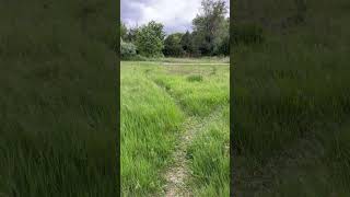 Shaky😍#ytshorts #shortvideo #ytviralvideo #shortsfeed #trendingshorts #viral #shorts #yt #shaky