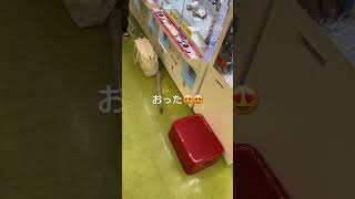 リモコン ミタシバプライズに会いにいってみた #ワンオポ