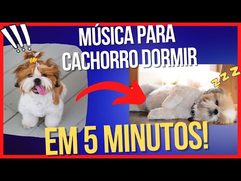 Música Para Acalmar Cachorro 🐶💤 12h de Musica