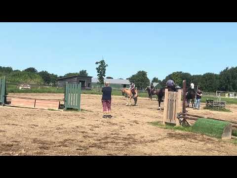 Golden Dream PF video 5