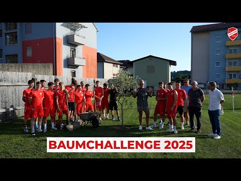 SV Flavia Solva Baumchallenge 2025