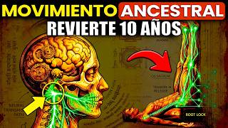Científicos aún no explican por qué este antiguo movimiento revierte 10 años de vejez tan rápido