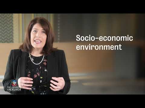 GFABx: Elements of the food system