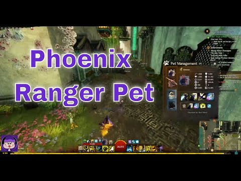 [NA] Guildwars 2: End of Dragons - Get Your Phoenix Ranger Pet
