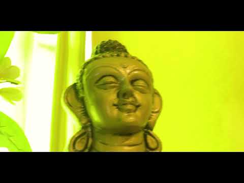 Vineet portfolio video1