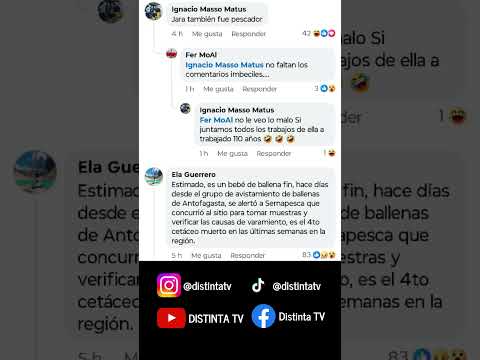 ¿Críptido? Extraño ser en playa de Antofagasta | Shorts #antofagasta #chile #mejillones #ballena