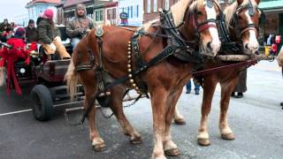 preview picture of video 'Lebanon Christmas Horse Carriage Parade 2014'