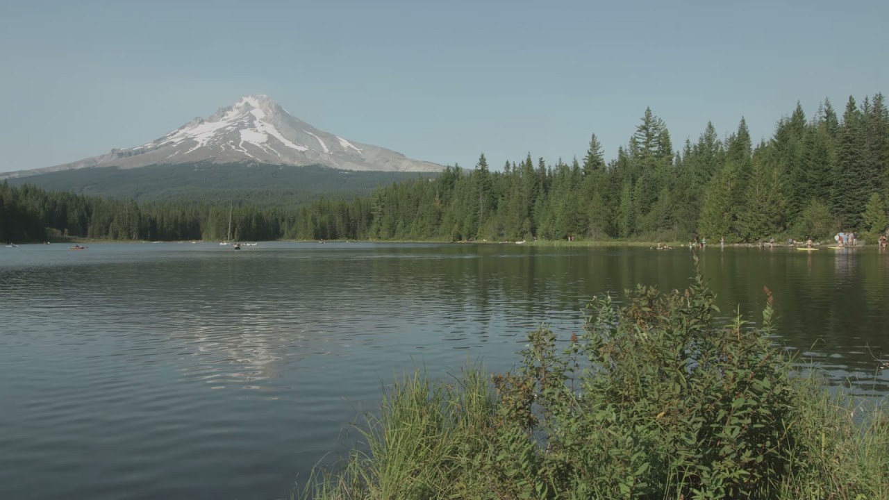 PCC Land Acknowledgement