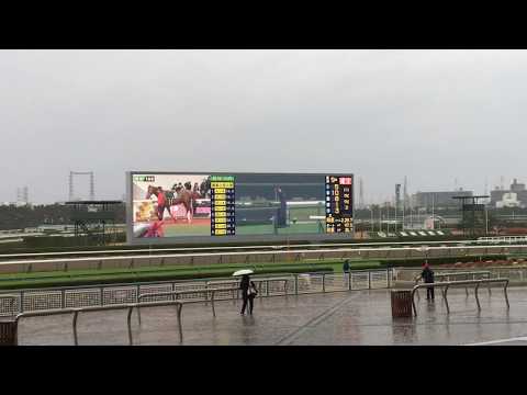【最高峰のレース】第141回中山大障害(J・GⅠ)ファンファーレin阪神競馬場