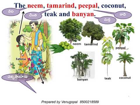 download lagu mp3 mp4 Green Is Life, download lagu Green Is Life gratis, unduh video klip Green Is Life