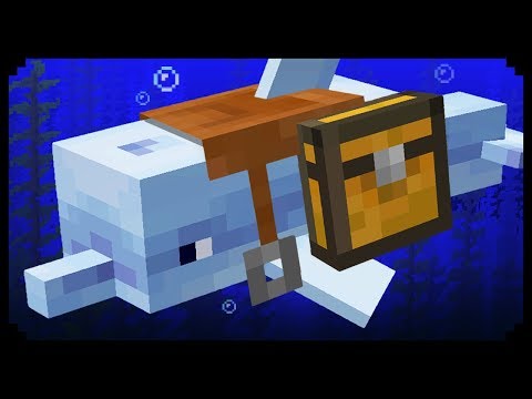 ✔ Minecraft: 10 Things You Didn't Know About Dolphins Video