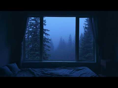 𝐭𝐡𝐞 𝐟𝐨𝐫𝐞𝐬𝐭 𝐮𝐧𝐝𝐞𝐫𝐬𝐭𝐚𝐧𝐝𝐬 𝐦𝐲 𝐬𝐢𝐥𝐞𝐧𝐜𝐞.