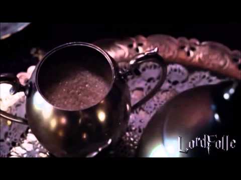 La Vera Storia Di Harry Potter-L'ordine Della Fenice