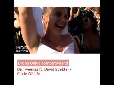 Da Tweekaz Drops Only - Tomorrowland Festival 2019