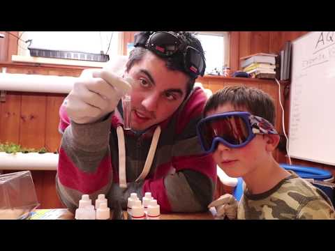 5-1 test strips vs API master kit - Testing Water for an Aquaponics System