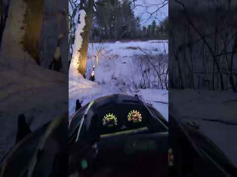 Quick rip on the old cat👌