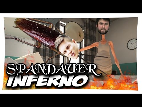 Fette, eklige Kakerlakenfiesta - WTF mit SPIN