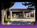 NANA  MOUSKOURI  LA PROVENCE
