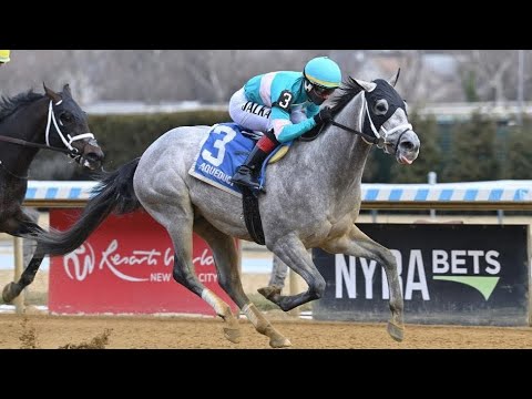 MY WORLD beat the favorite Balboa and wins 2026 Jerome Stakes (Listed)