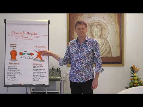 Treating trauma successfully and sustainably, the Polyvagal Theory according to Stephen Porges-