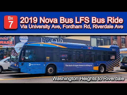 Bx7 Bus