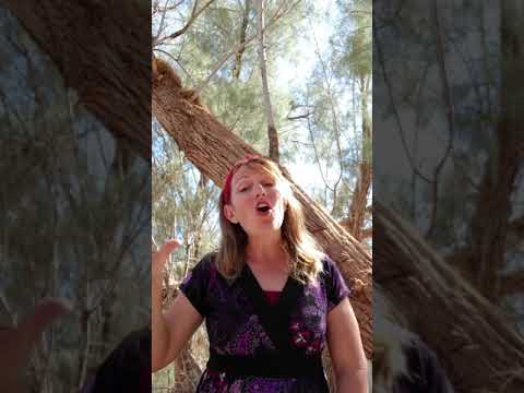 John 5:1-36 memorization recitation #biblememory