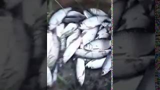 Рыбалка!!!! Город Сургут