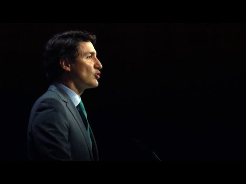 FUREY FACTOR Trudeau Liberals ram through internet censorship bill