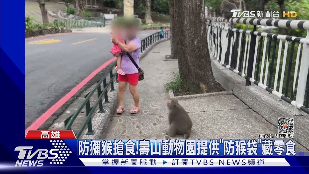 零食藏起來!壽山動物園提供「防猴帆布袋」防獼猴搶食