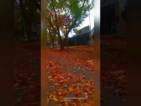 Mendoza Lujan de Cuyo Cabañas El Maiten Vistalba 📲 261 699-2655