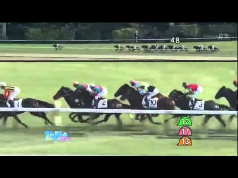 2014年日本ダービー。ワンアンドオンリー