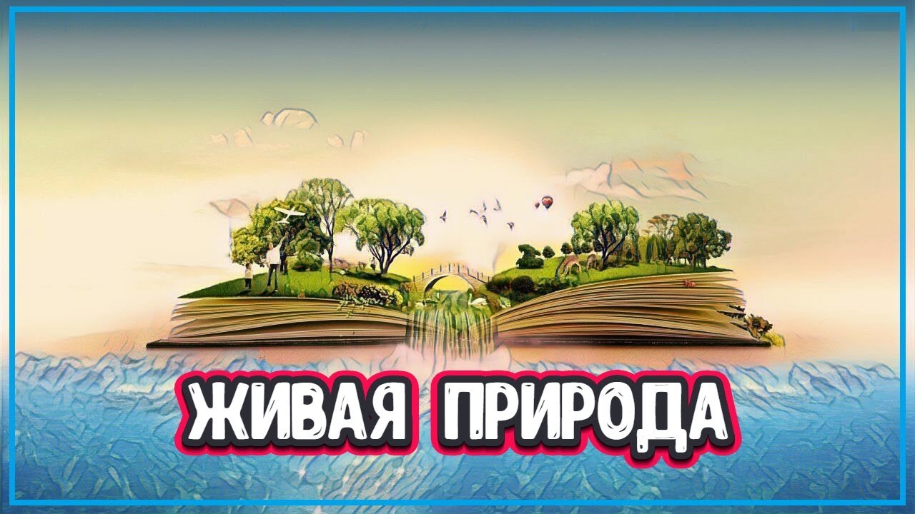7 УНИКАЛЬНЫХ ФЕНОМЕНОВ ПРИРОДЫ