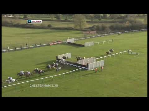 2011 Paddy Power Gold Cup Chase - Cheltenham Open